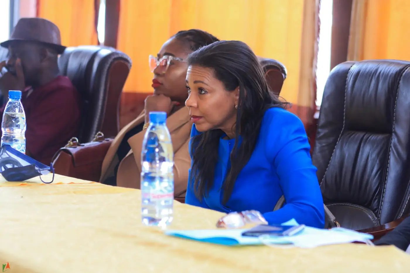 Officials listening during a policy session